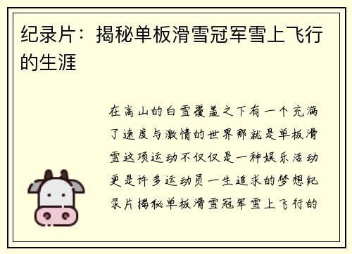纪录片：揭秘单板滑雪冠军雪上飞行的生涯